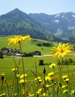 Kaiser Mountains Tyrol Austria 16